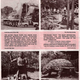 Illustration for article titled Michigans Abandoned Dinosaur Amusement Park Is Way Creepy